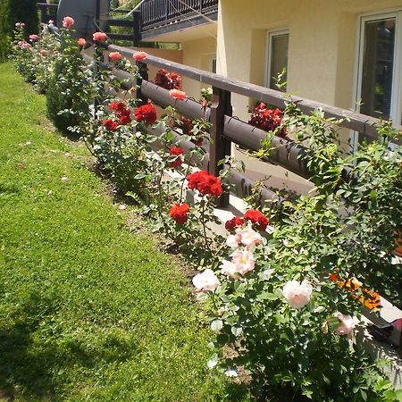 Apartments Vila Velickovic Zlatibor Exteriér fotografie