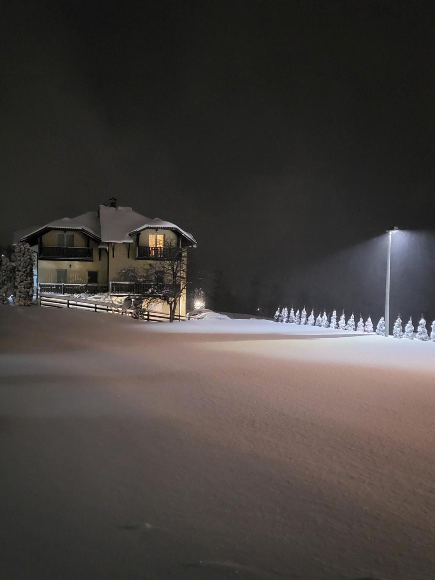 Apartments Vila Velickovic Zlatibor Exteriér fotografie