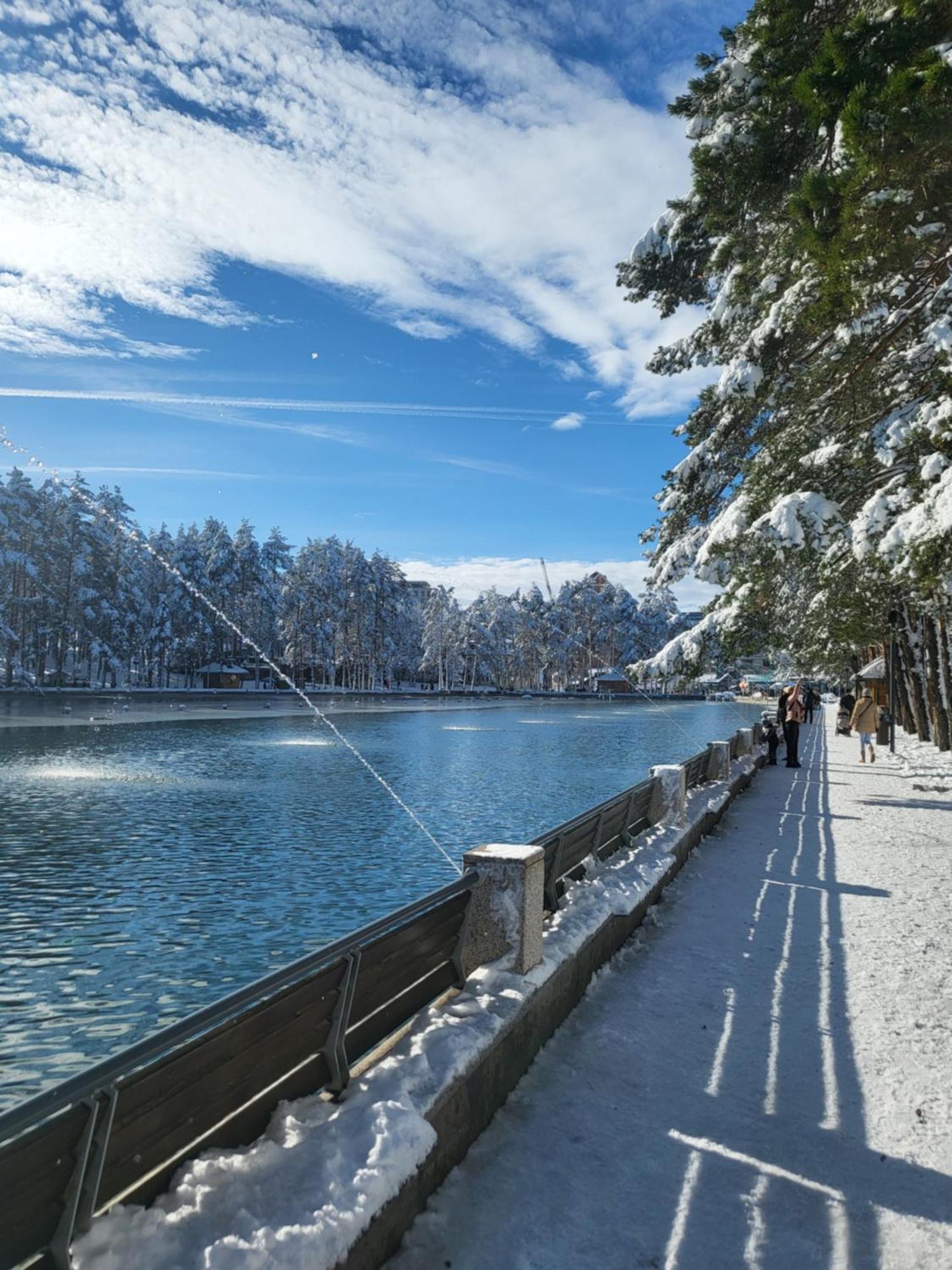 Apartments Vila Velickovic Zlatibor Exteriér fotografie