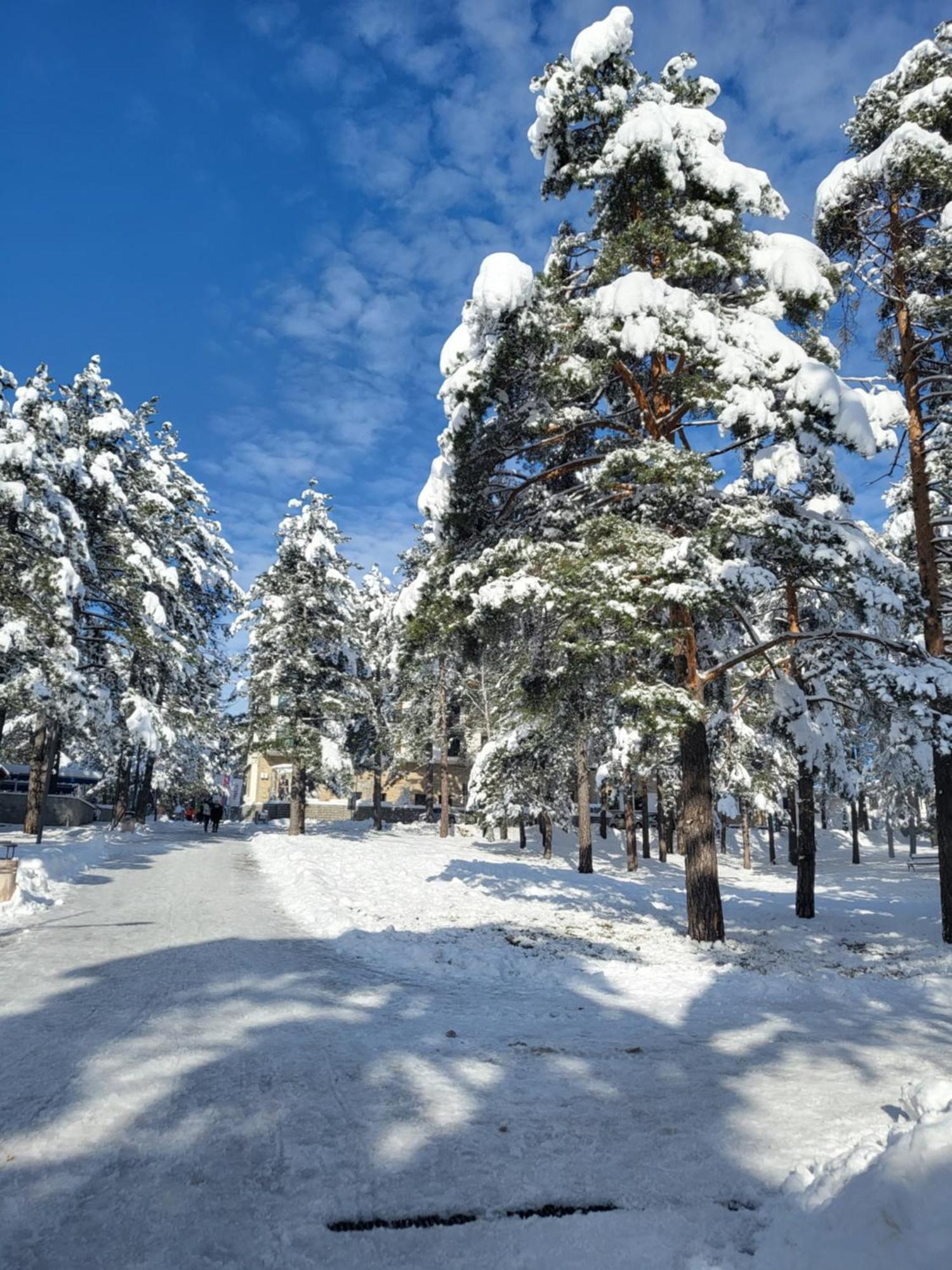 Apartments Vila Velickovic Zlatibor Exteriér fotografie