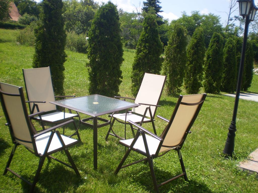 Apartments Vila Velickovic Zlatibor Exteriér fotografie