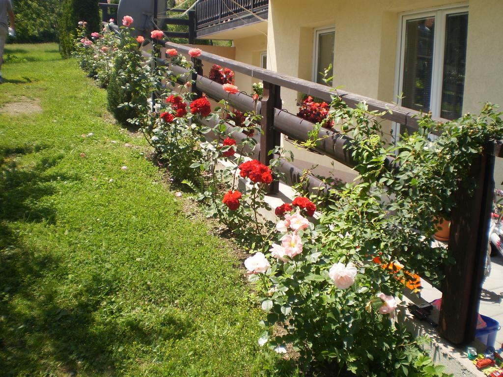 Apartments Vila Velickovic Zlatibor Exteriér fotografie