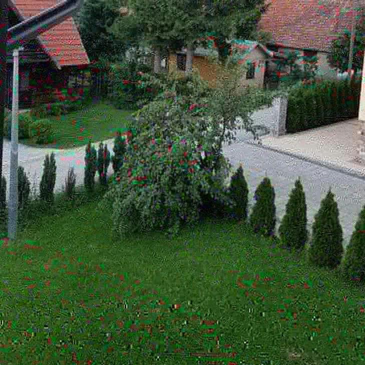 Apartments Vila Velickovic Zlatibor Exteriér fotografie
